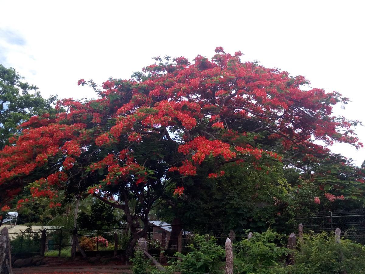 Eco-Lodge El Porvenir. Santa Cruz ภายนอก รูปภาพ