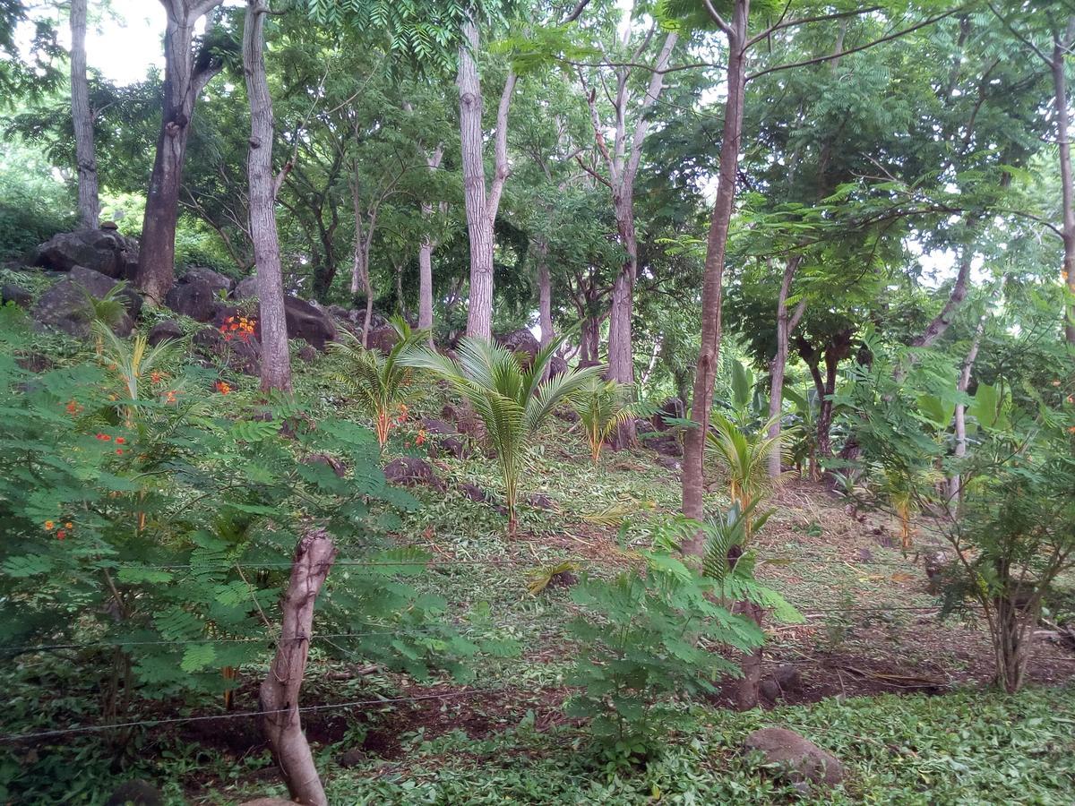 Eco-Lodge El Porvenir. Santa Cruz ภายนอก รูปภาพ