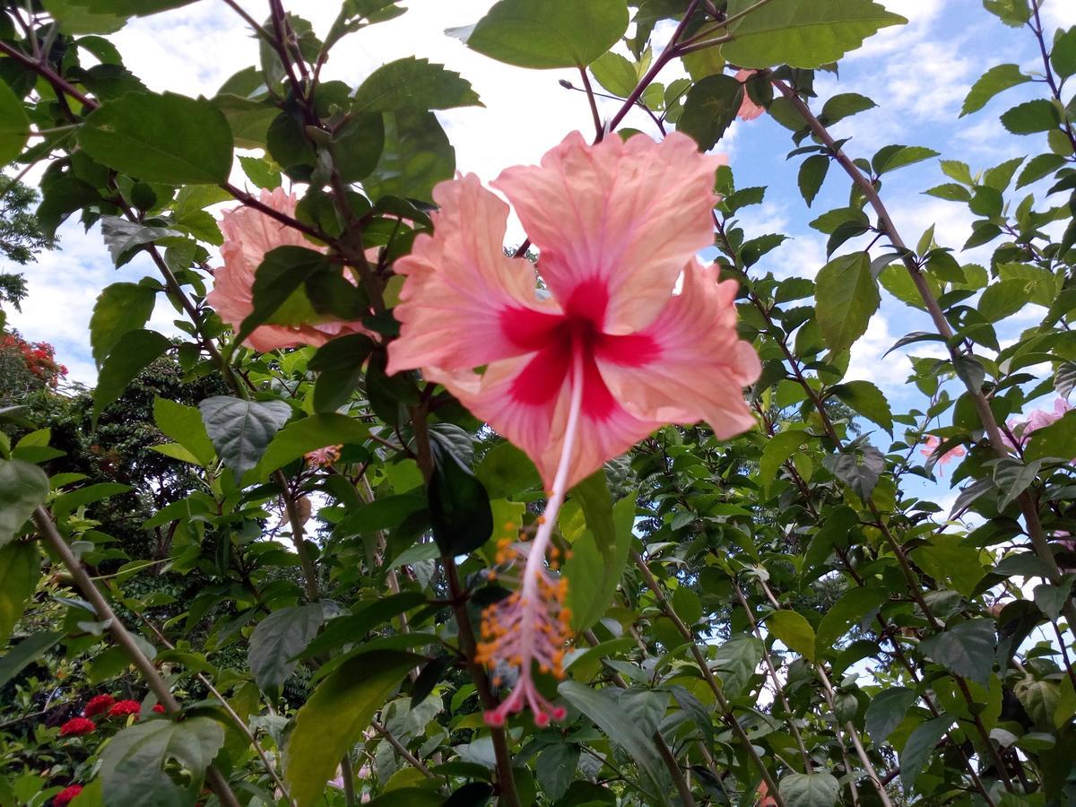 Eco-Lodge El Porvenir. Santa Cruz ภายนอก รูปภาพ