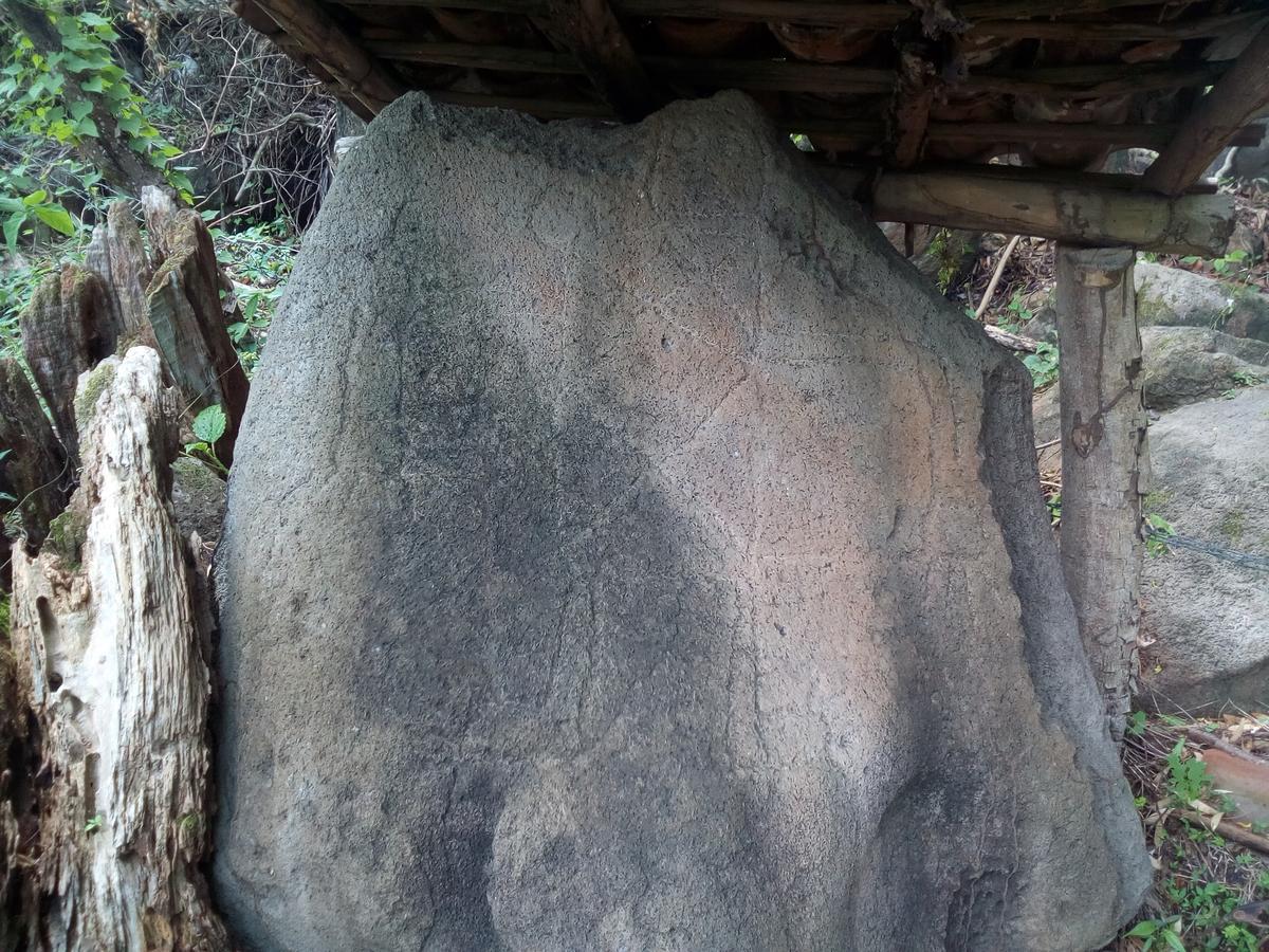 Eco-Lodge El Porvenir. Santa Cruz ภายนอก รูปภาพ