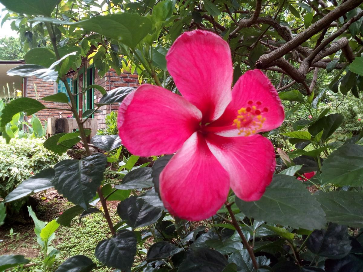 Eco-Lodge El Porvenir. Santa Cruz ภายนอก รูปภาพ