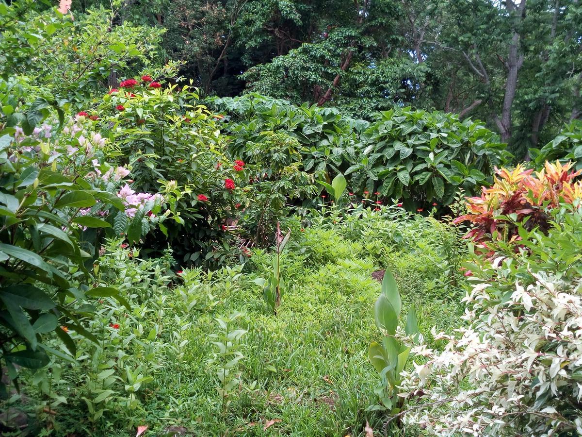 Eco-Lodge El Porvenir. Santa Cruz ภายนอก รูปภาพ