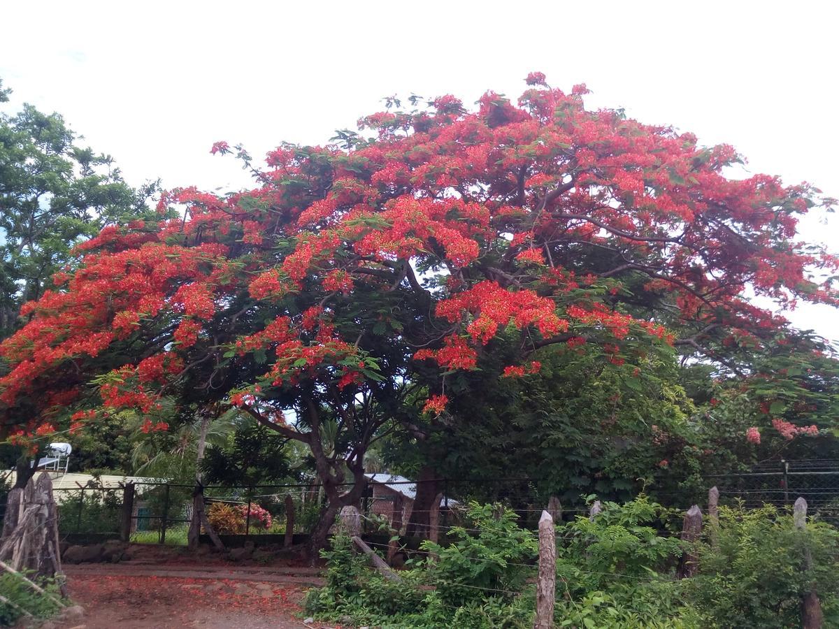 Eco-Lodge El Porvenir. Santa Cruz ภายนอก รูปภาพ
